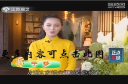 江苏综艺频道直播,银龄综艺新风尚，助力老龄群体多彩生活