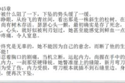 侧妃不承欢免费全文阅读,宫廷权谋与爱恨纠葛