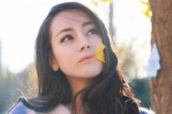 热巴的娱乐圈,娱乐圈璀璨星辰的闪耀之旅
