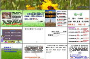 花的勇气ppt,花的启示录