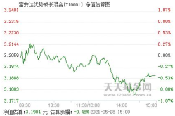 富安达优势成长基金,聚焦成长潜力，助力财富增值新篇章